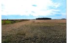 Property photo 2 - LAND AUCTION - 180+/- ACRES OFFERED IN 5 TRACTS IN WHITE COUNTY, INDIANA